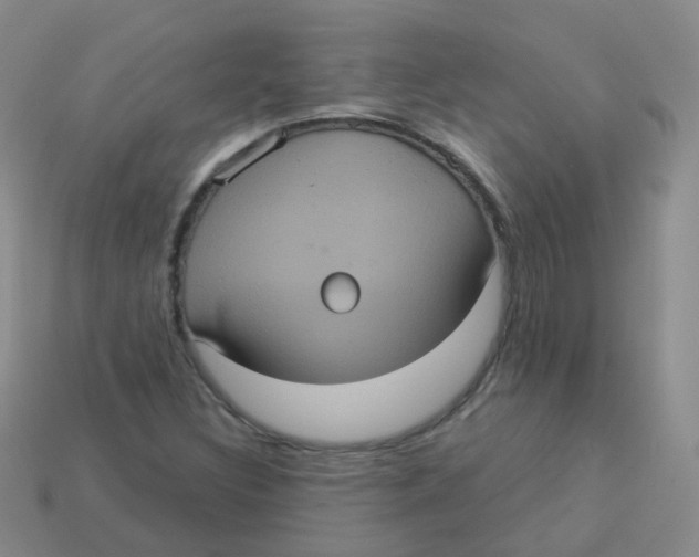 X0000113551308200910161425