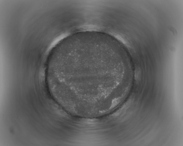 X0000113551309200910161425