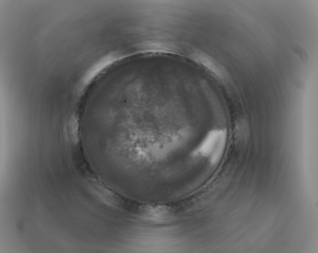 X0000113551310200910161425