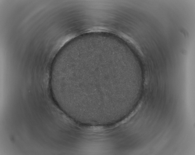 X0000113551313200910161425