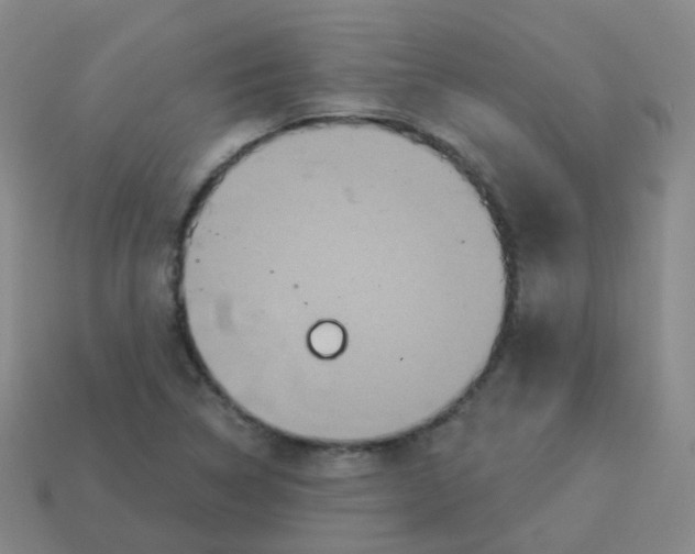 X0000113551314200910161425