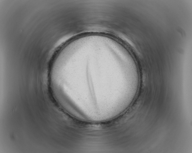 X0000113551315200910161425