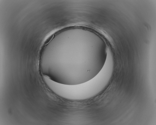 X0000113551316200910161425