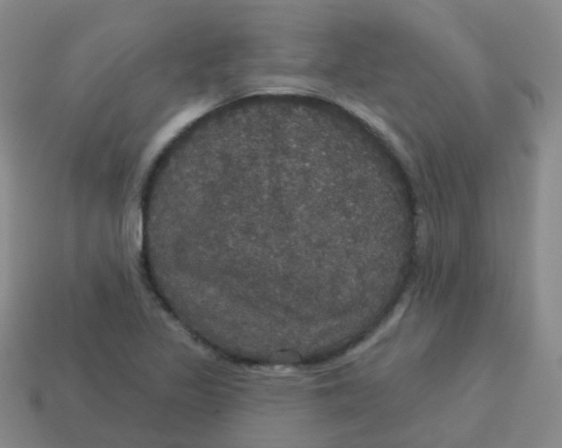 X0000113551317200910161425