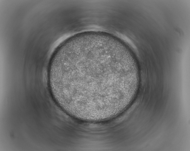 X0000113551318200910161425