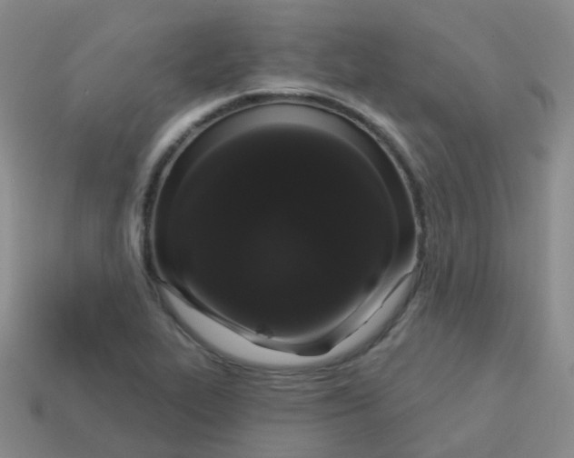 X0000113551319200910161425