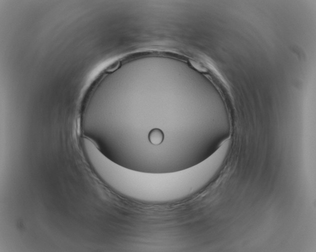 X0000113551320200910161425