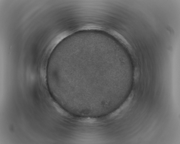 X0000113551321200910161425