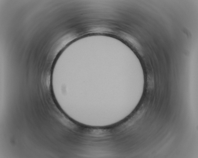 X0000113551322200910161425