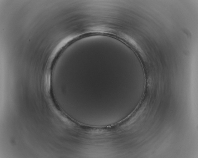 X0000113551323200910161425