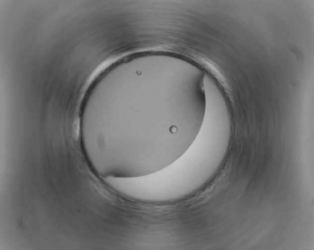 X0000113551324200910161425