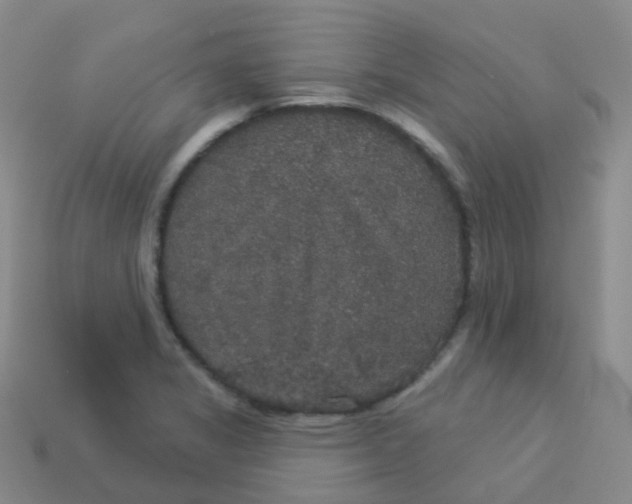 X0000113551325200910161425