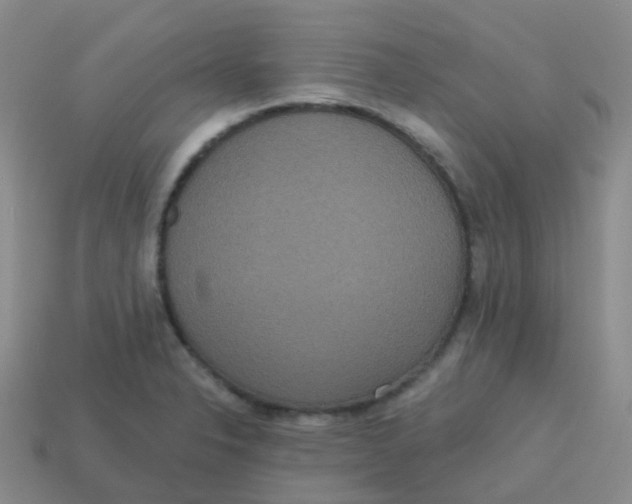 X0000113551326200910161425