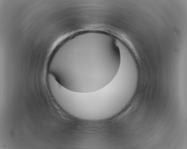 X0000113551328200910161426