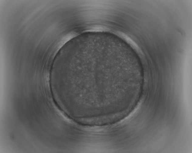 X0000113551329200910161426