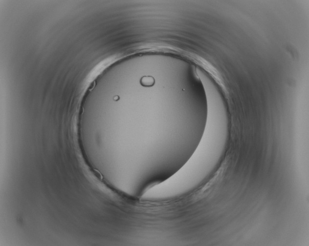 X0000113551330200910161426