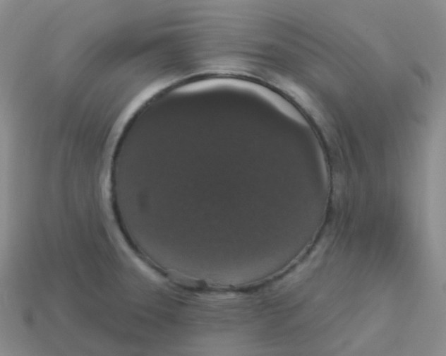 X0000113551331200910161426