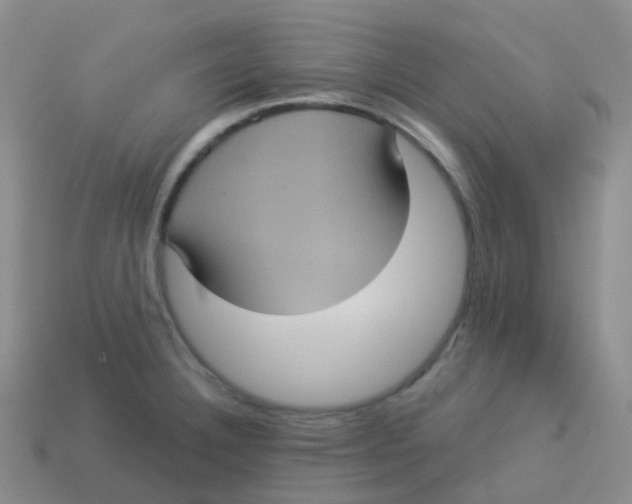 X0000113551332200910161426