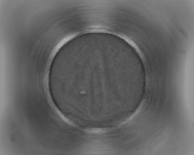 X0000113551333200910161426