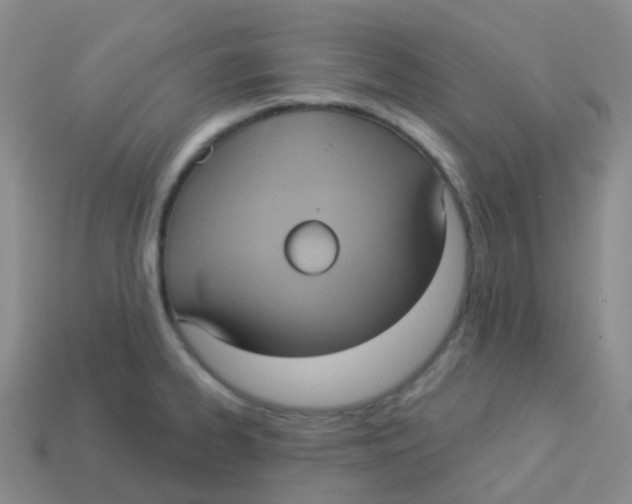 X0000113551334200910161426