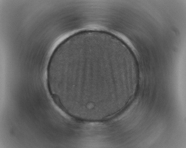 X0000113551335200910161426