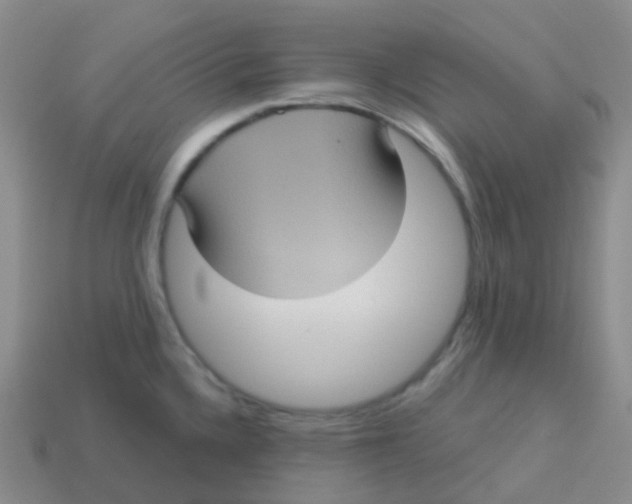 X0000113551336200910161426