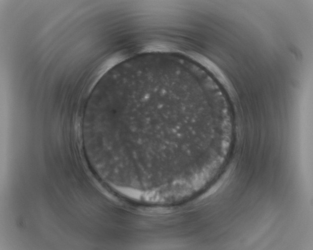 X0000113551337200910161426