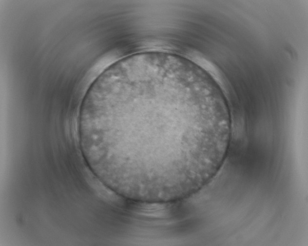 X0000113551338200910161426