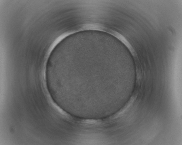 X0000113551339200910161426