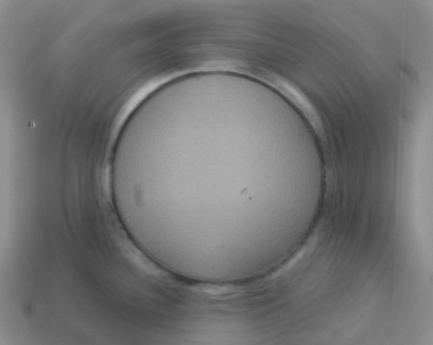 X0000113551340200910161426