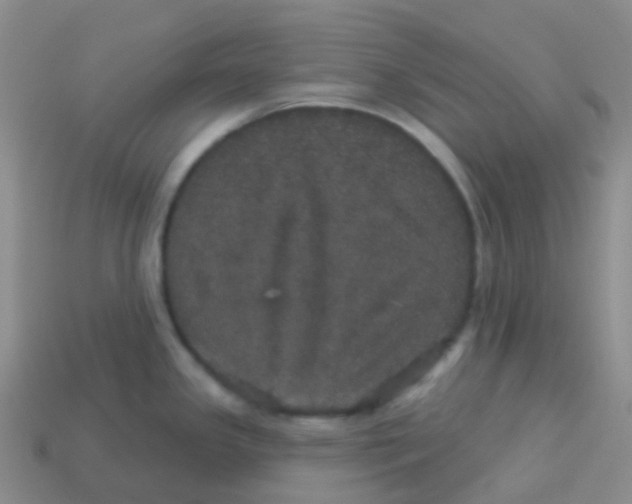 X0000113551341200910161426