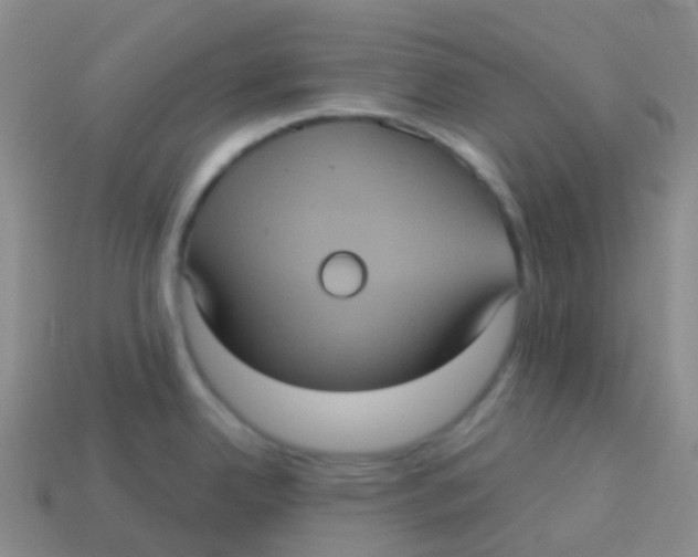 X0000113551342200910161426