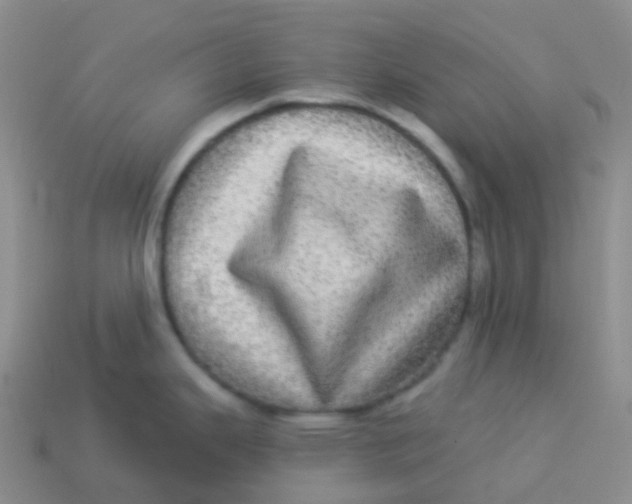 X0000113551343200910161426