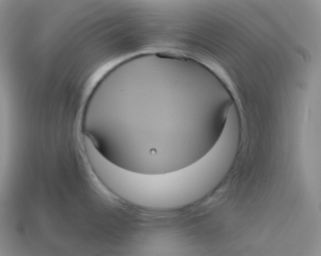X0000113551344200910161426