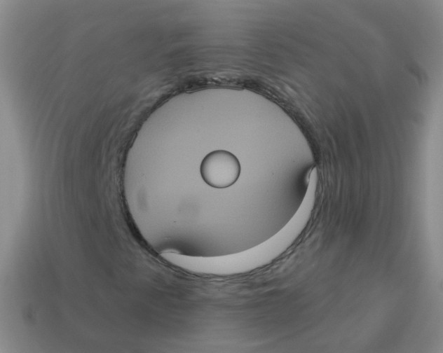 X0000113551345200910161425