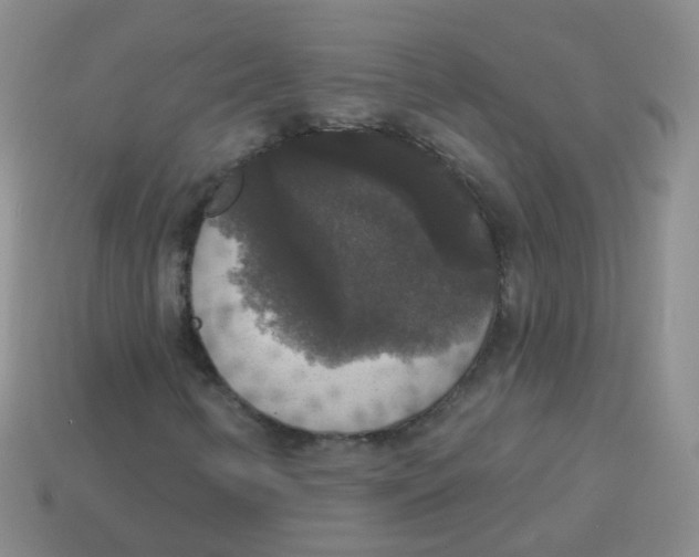 X0000113551346200910161425