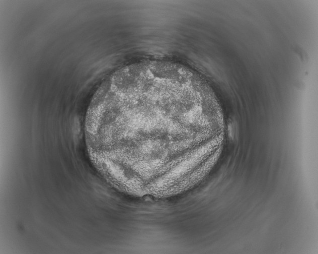 X0000113551347200910161425
