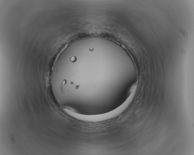 X0000113551348200910161425