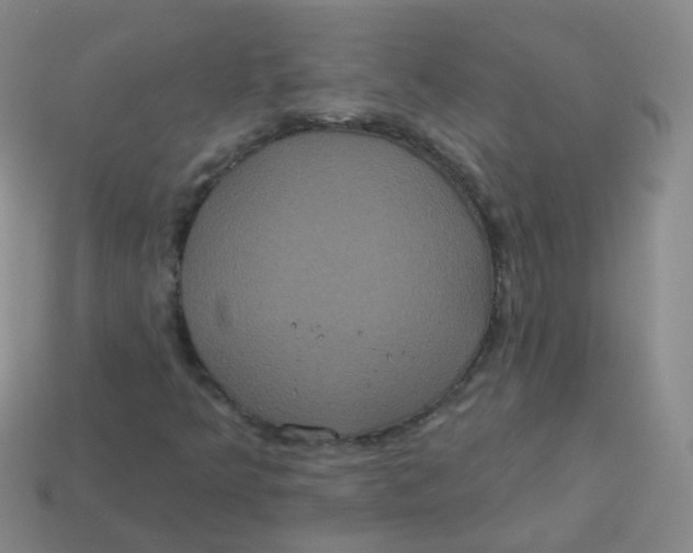 X0000113551349200910161425