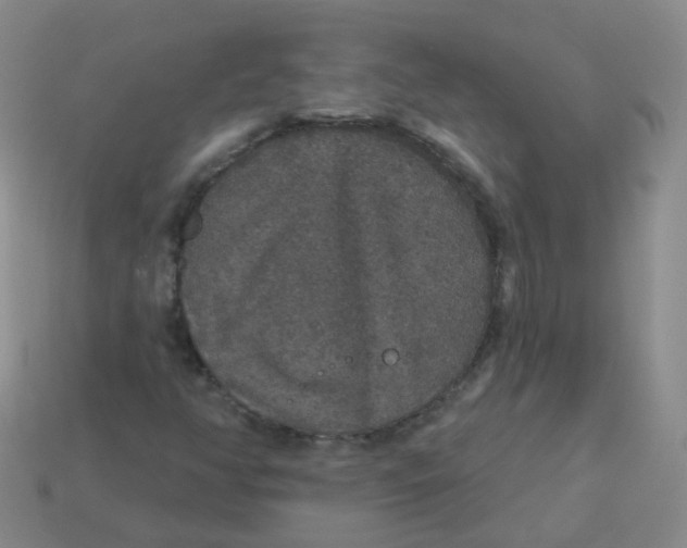 X0000113551350200910161425