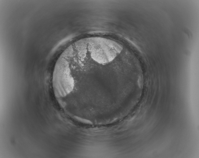 X0000113551351200910161425