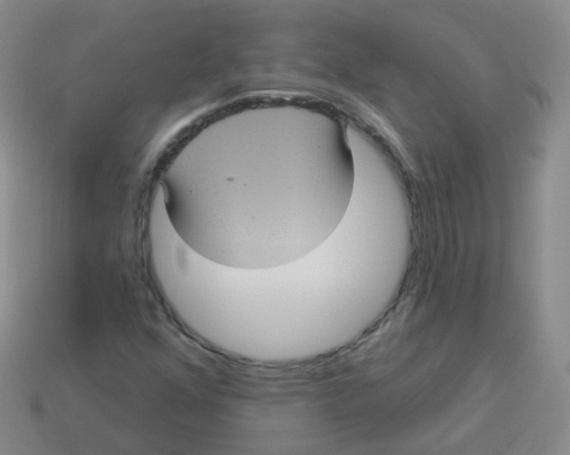 X0000113551352200910161425