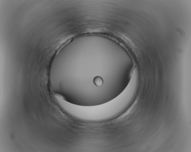 X0000113551353200910161425