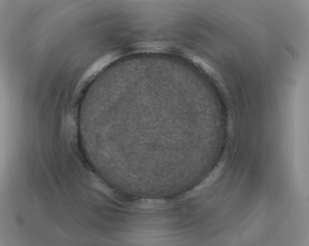 X0000113551354200910161425