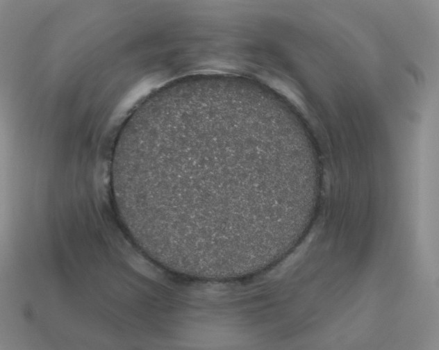 X0000113551355200910161425
