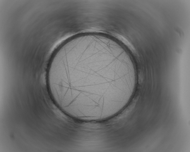 X0000113551356200910161425