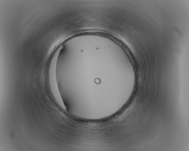 X0000113551357200910161425