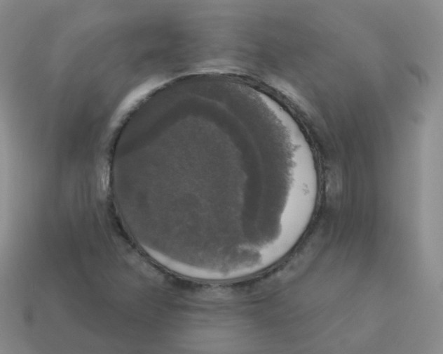 X0000113551358200910161425