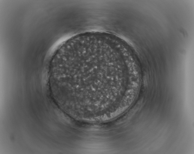 X0000113551359200910161425
