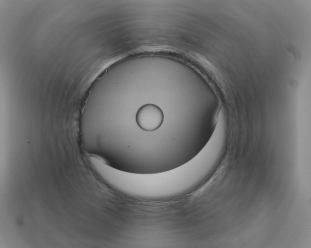 X0000113551361200910161425